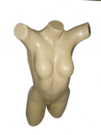 Imagem 1