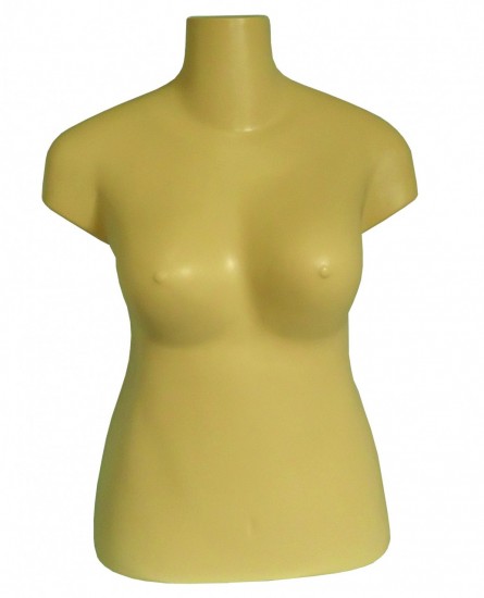 Imagem 1