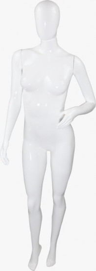 Imagem 1